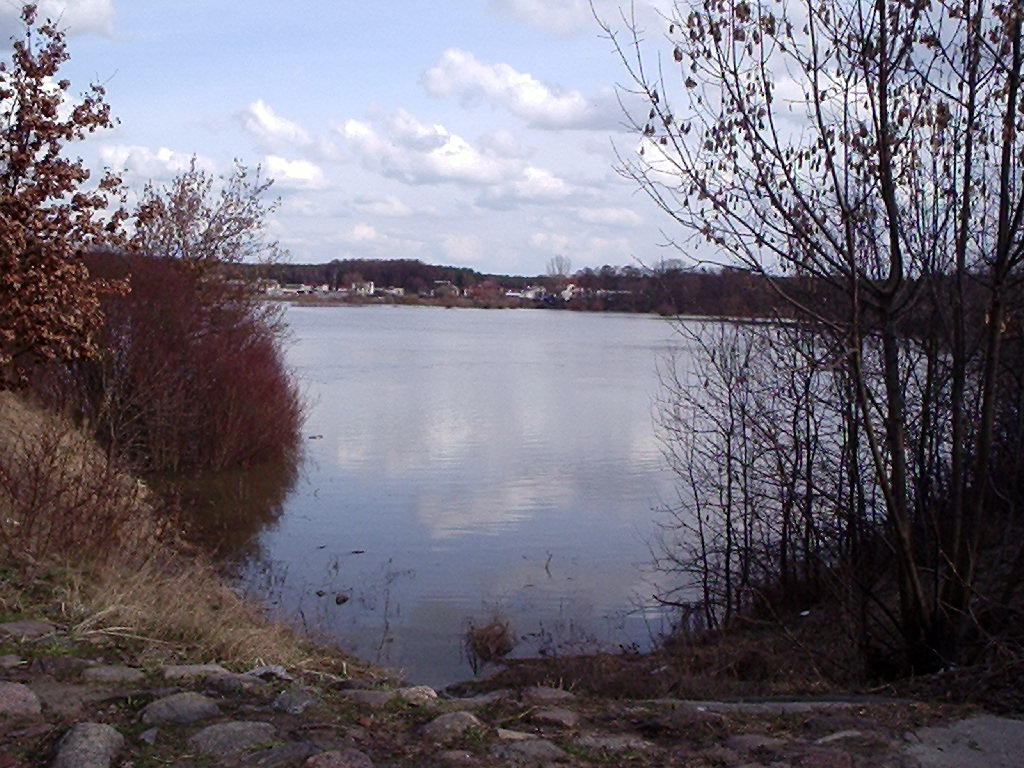 Strzyżawa